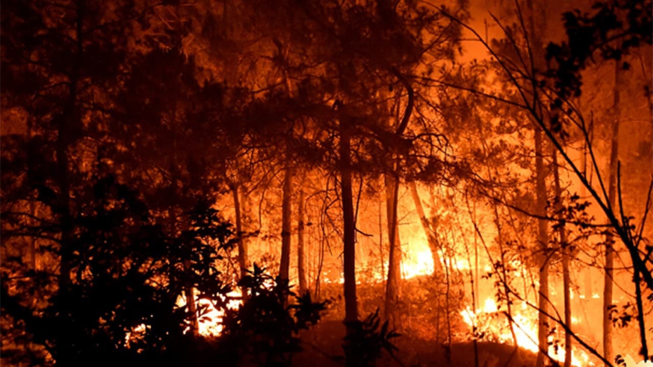 La France aux prises avec les incendies de forêt : La situation est grave, des centaines de personnes ont dû évacuer