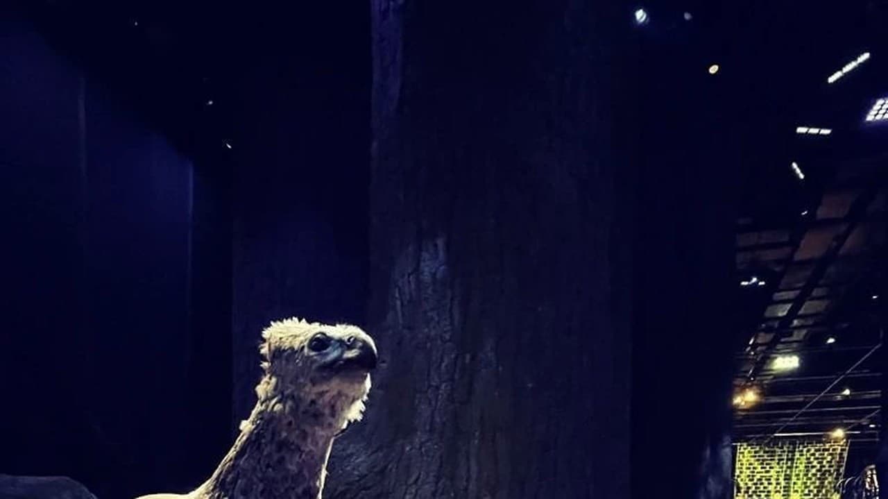 Ester Ledecká navštívila v Londýne štúdiá, kde sa nakrúcal Harry Potter.