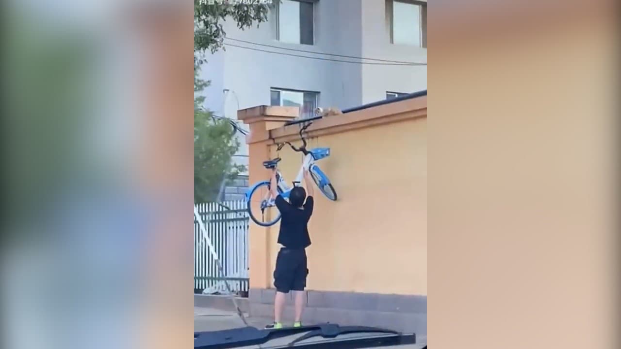 Muž si všimol, že mačka nedokáže zliezť z príliš vysokého múru: Toto by vám nenapadlo urobiť!