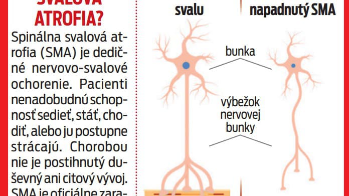 Ilustračný obrázok