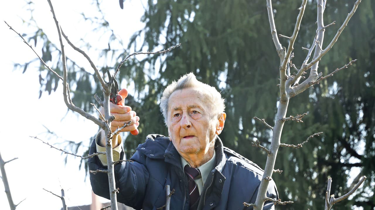 ČIPERNÝ: Bez problémov vylezie na rebrík aj v 91 rokoch.