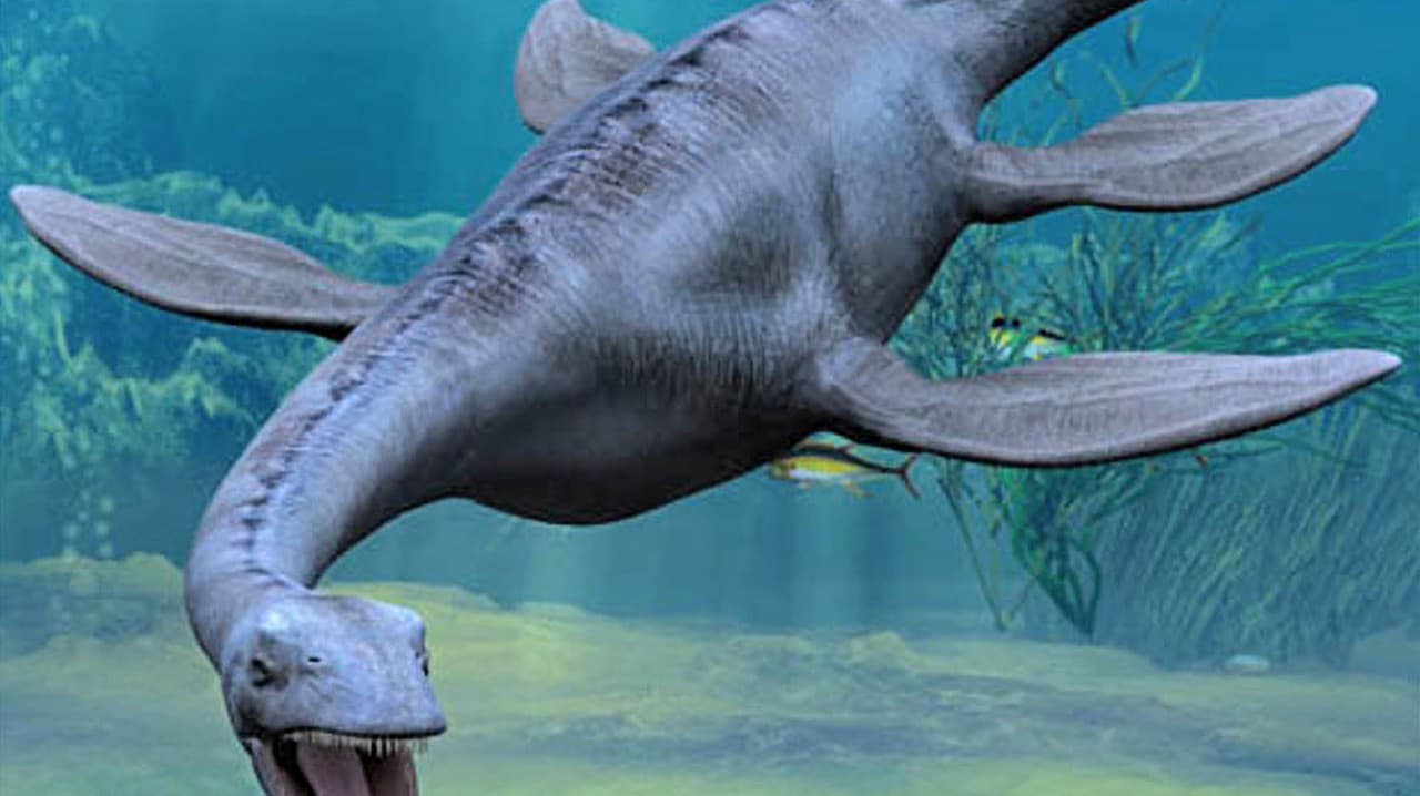 Pleziosaurus žil v ranom jurskom období.