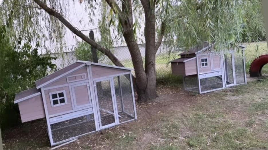 Nové obydlia pre sliepky dostala darom.