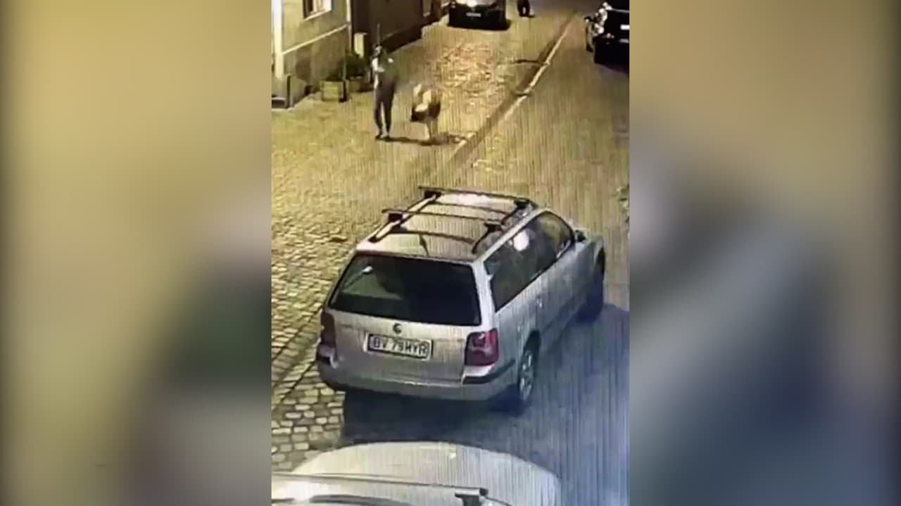 Psík začal byť počas venčenia nepokojný: Keď sa majiteľka obzrela, krvi by sa jej nedorezali! Rýchly útek bol jedinou záchranou