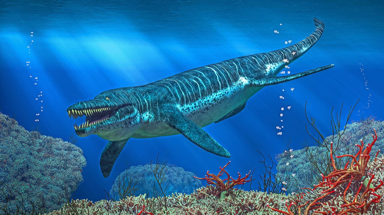 Pliosaurus