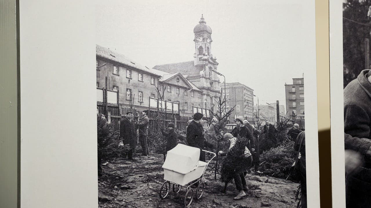 1965 - Predaj vianočných stromčekov na Špitálskej.