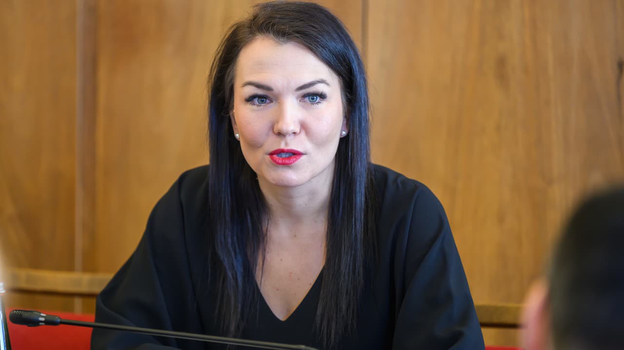 Jurík z Progresívneho Slovenska navštívila Kyjev: Rokovala aj s prezidentom Zelenským