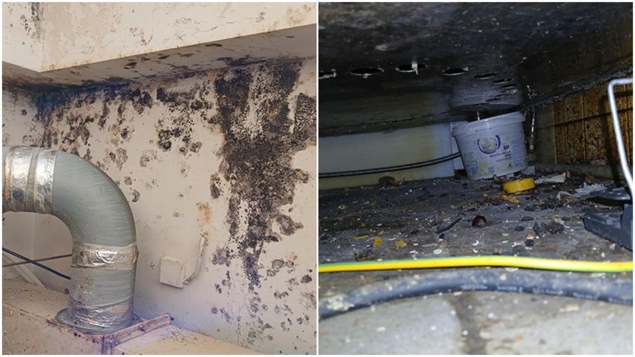 Odporné ODHALENIE o reštaurácii: Pleseň, myší trus a špina, podnik funguje ďalej! Z FOTO sa vám zdvihne žalúdok