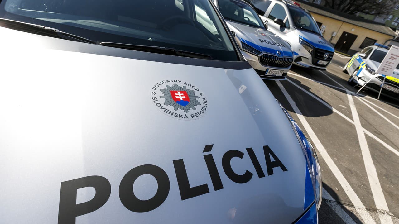 Ohavný incident v Prievidzi: Bratovražda?! Posun vo vyšetrovaní ohavného činu