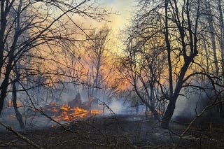  Na snímke pohľad na lesný požiar v uzavretej zóne okolo Černobyľskej jadrovej elektrárne.