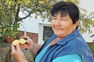 Magdaléna Dombyová (72) sa teší plodom citrónovníka.