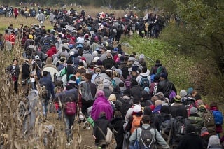 Utečenci kráčajú cez pole v chorvátskej obci Ključ Brdovečki neďaleko slovinských hraníc.