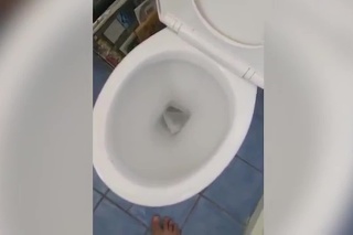 Spláchnutie toalety sa zmenilo na hrôzu.