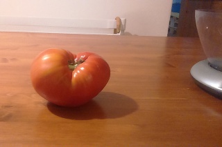 Pavel vypestoval obriu paradajku.
