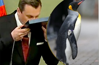Andrej Danko vs. tučniak.