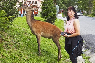 Martina (41) z Prahy sa s jelenčekom nadšene odfotila.