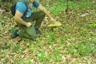 Daniel (26) našiel obrovský hríb v Slanských vrchoch.