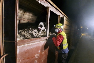 Na policajnej snímke záchranár a pes hľadajú migrantov ukrytých vo vagónoch nákladného vlaku vezúceho íl.