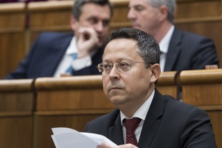 Minister financií SR Ladislav Kamenický .