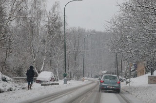 Sneženie v Bratislave 28.1.2019.