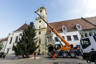 V Bratislave už stojí 14-metrový vianočný stromček.