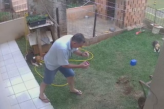 Muž na záhrade sa pasuje s krtkom
