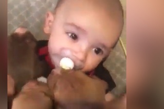 Najúžasnejšia deka pre bábätko: Video s roztomilými šteniatkami vyvolalo kontroverzné reakcie