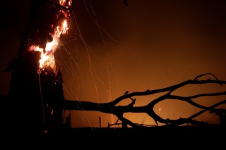 Brazílsku časť Amazonského pralesa zasiahlo v auguste 30.901 požiarov.