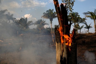 Alarmujúce zábery z požiarov v Amazonskom pralese.