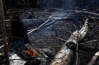 Amazonský prales pustošia ničivé požiare.