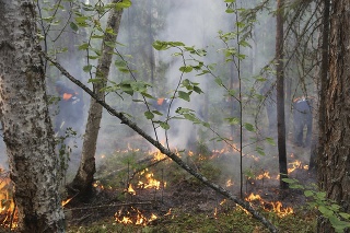 S lesnými požiarmi bojujú aj v regióne Krasnojarsk.