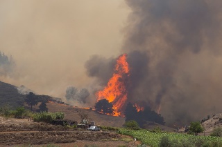 Oheň na ostrove Gran Canaria.