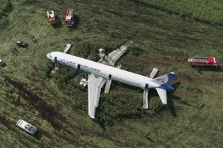 Lietadlo tvrdo pristálo v kukuričnom poli. 
