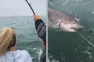 Žralok biely ťahal rybárov vyše tri kilometre: Horúci zážitok vysielali naživo na Facebooku