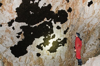 Štefan Matis v jednej z jaskýň Slovenského krasu sleduje večernice malé.