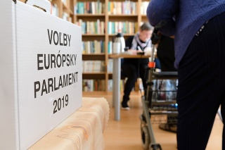 Na Slovensku sa konali v poradí štvrté voľby do Európskeho parlamentu.