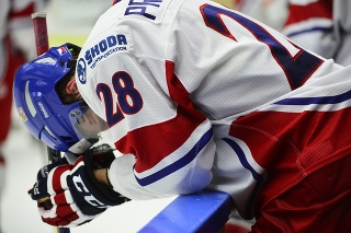 Bývalý český hokejista Martin Procházka sa topí v dlhoch.