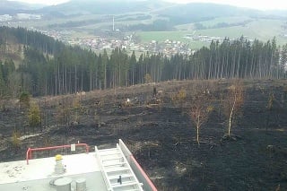 Rozsiahly požiar lesného porastu v Rakovej.
