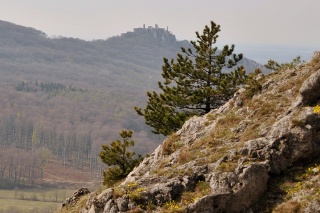 Plavecký hrad je vidieť z turistickej trasy smerujúcej na Jeleniu horu v Malých Karpatoch pri obci Plavecký Mikuláš.
