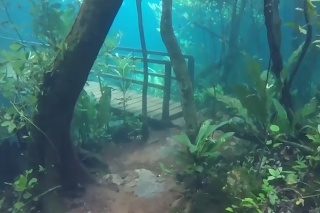 V Brazílii môžete navštíviť dažďový prales pod vodou: Vyzerá to ako z iného sveta!
