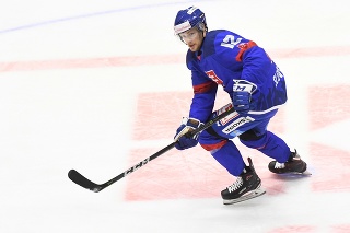 David Gríger zo Slovenska v prípravnom medzištátnom zápase v hokeji mužov medzi Slovenskom a Švédskom 4. apríla 2019 v Topoľčanoch.