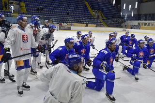 Na snímke tréning slovenskej hokejovej reprezentácie pred prípravným zápasom so Švédskom.