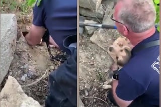Náročná záchrana psa uviaznutého pod skalou bola odmenená: Hasič zasypaný vlhkými pusinkami