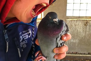 Na jednej z potuliek Patrik (22) našiel aj mŕtveho holuba. 