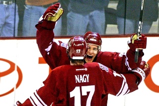 V rokoch 2001 až 2004 hral Nagy s Brankom za Phoenix.