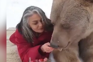 Táto žena má odvahy za dvoch chlapov: Grizlyho kŕmila jahodami akoby sa nechumelilo