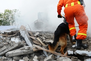 Search and rescue forces search through a destroyed building with the help of rescue dogs.