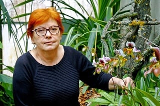 Margita Záhorská (57)  vyšľachtila nový druh orchidey.