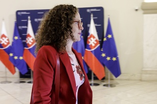 Šéfka parlamentnej delegácie Sophie in 't Veldová