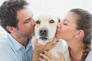 Happy couple kissing their yellow labrador on the couch at home in the living room